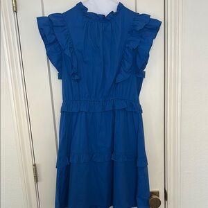 Impeccable Pig Pinch Blue Ruffled Dress
